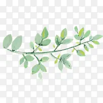 �ֻ���֦-������