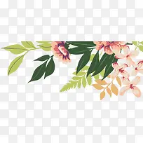 树枝-空若网 树枝-空若网