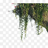 ����-������