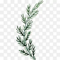 手绘树枝-空若网 手绘树枝-空若网