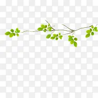 ��֦-������