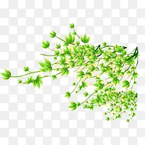 树叶-空若网 树叶-空若网