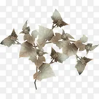 树枝素材-空若网 树枝素材-空若网