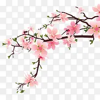 粉色桃花-空若网 粉色桃花-空若网