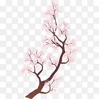 粉色的花-空若网 粉色的花-空若网