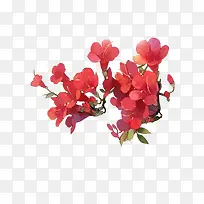 红色花朵花瓣花枝树枝-空若网 红色花朵花瓣花枝树枝-空若网