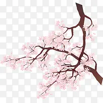 粉色的花-空若网 粉色的花-空若网