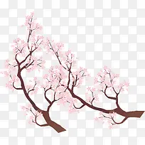 粉色的花-空若网 粉色的花-空若网