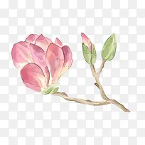 树枝上的花朵-空若网 树枝上的花朵-空若网