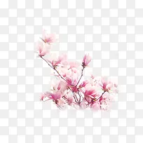 ��ɫ�Ļ�-������