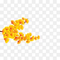 ��ɫ��Ҷ-������