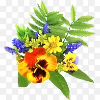 黄色花朵树枝-空若网 黄色花朵树枝-空若网