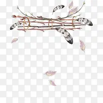 ��֦�ϵ���ë-������