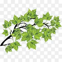 ʸ���ֻ���֦-������