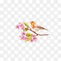 �ֻ�ˮ������֦-������