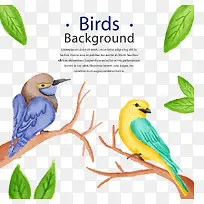 ˮ����-������