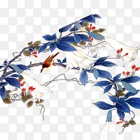 ˮ����֦-������