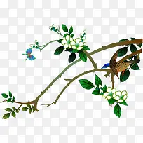 Ê÷Ö¦-¿ÕÈôÍø Ê÷Ö¦-¿ÕÈôÍø