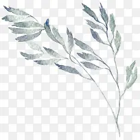 �ֻ���֦-������