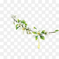 ��ɫС��-������