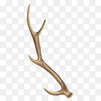 水彩手绘植物花卉-空若网 水彩手绘植物花卉-空若网