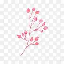 ��ɫ��֦-������