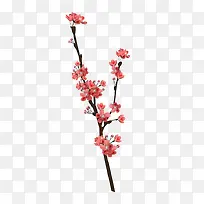 红色桃花-空若网 红色桃花-空若网