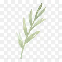 �ֻ�ˮ��ֲ���ز�-������