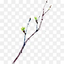 ˮ����֦-������