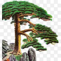 树-空若网 树-空若网