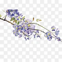 ʸ���ֻ滨��-������