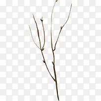 �ֻ���֦-������