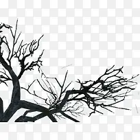 Ê÷Ö¦-¿ÕÈôÍø Ê÷Ö¦-¿ÕÈôÍø