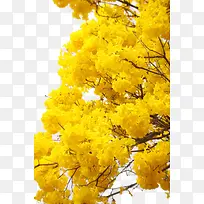 ��-������