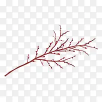 红色花枝-空若网 红色花枝-空若网