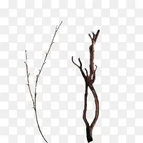 Ê÷Ö¦-¿ÕÈôÍø Ê÷Ö¦-¿ÕÈôÍø