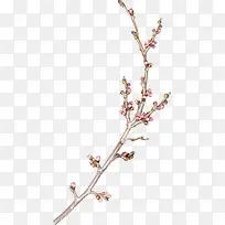 ƯÁÁ»¨Ö¦-¿ÕÈôÍø ƯÁÁ»¨Ö¦-¿ÕÈôÍø