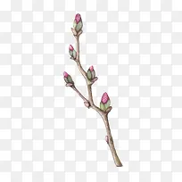 ʸ����֦-������