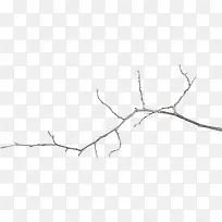 �ֻ���֦-������