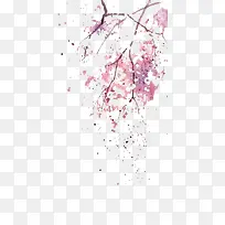 ֲ��-������