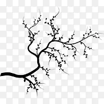 树枝-空若网 树枝-空若网