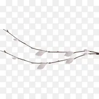 ֦Ѿ-������