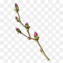 »¨Ö¦-¿ÕÈôÍø »¨Ö¦-¿ÕÈôÍø