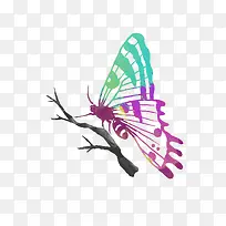 �ֻ����-������