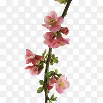 �һ�-������