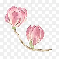 树枝上的粉色花朵-空若网 树枝上的粉色花朵-空若网