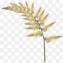 ��ɫ��֦Ҷ��-������