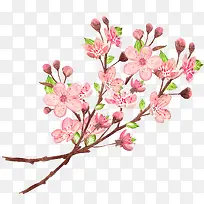 粉色树枝-空若网 粉色树枝-空若网