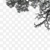 ��֦-������