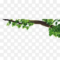 ��-������